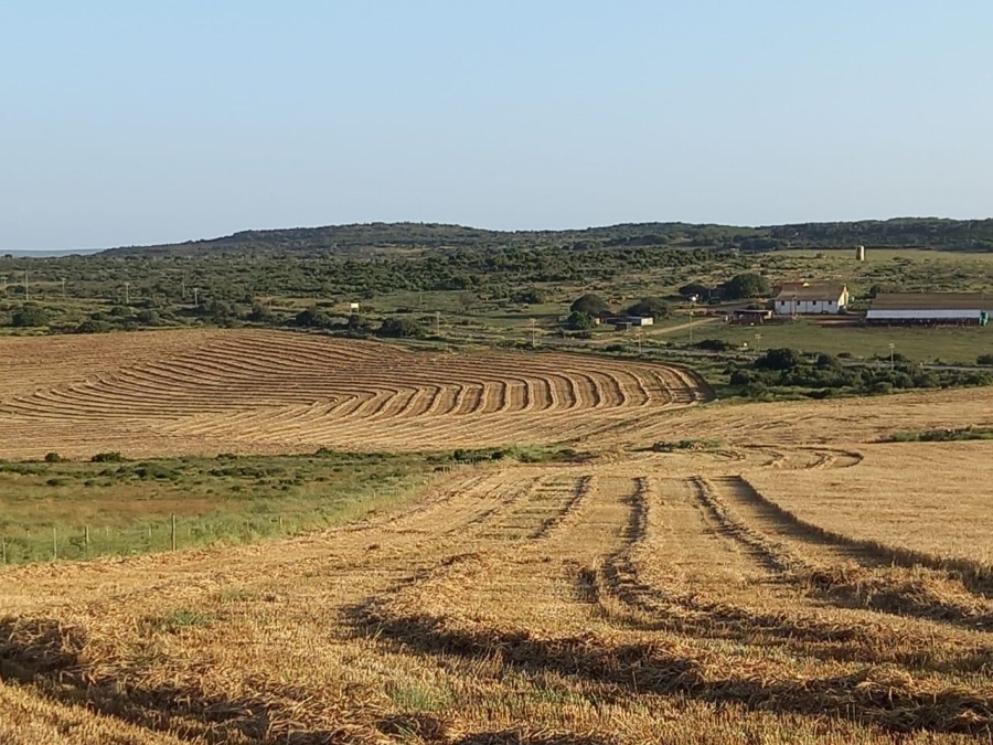 0 Bedroom Property for Sale in Riversdale Rural Western Cape